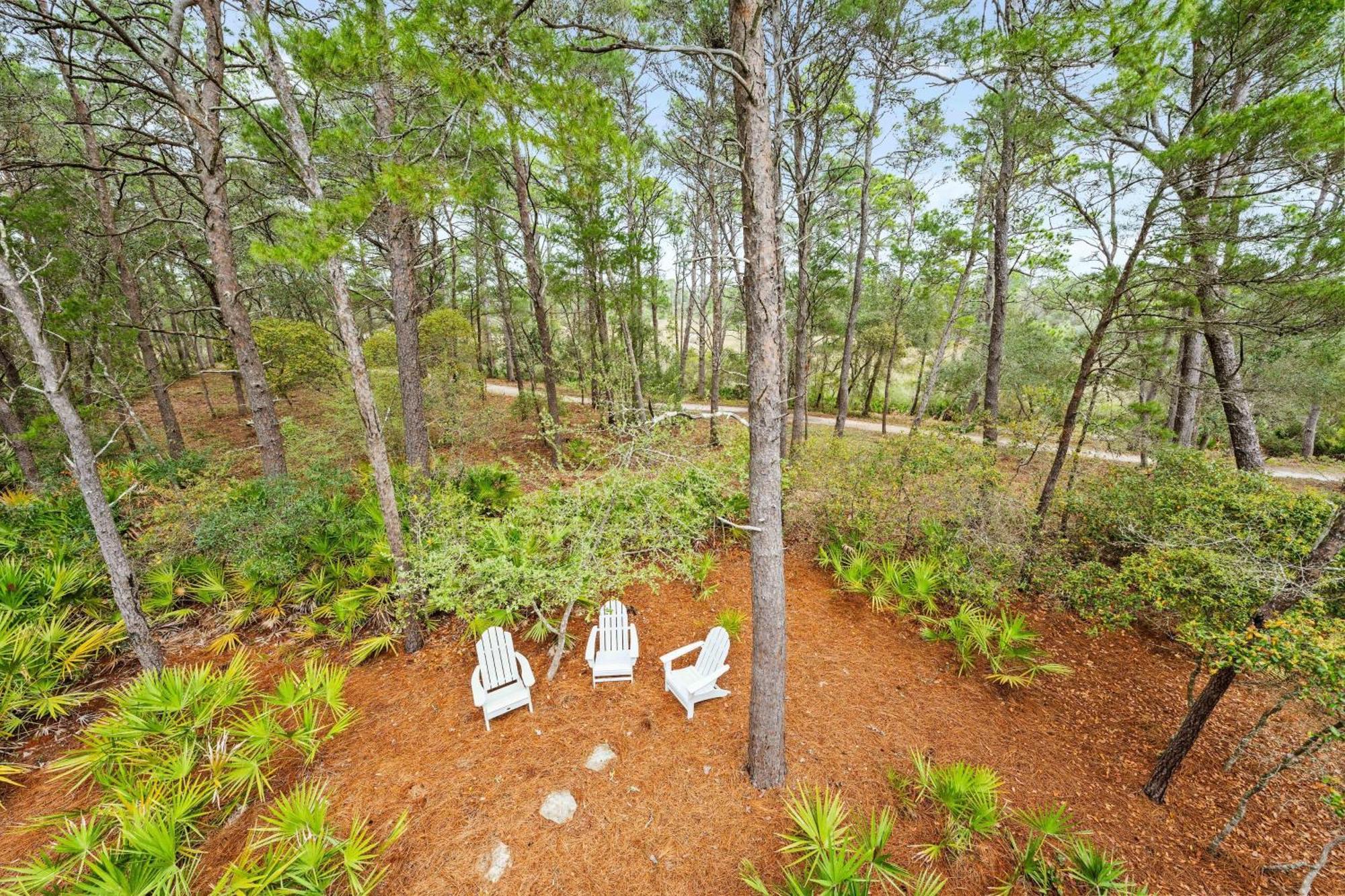Dandelion Villa Santa Rosa Beach Dış mekan fotoğraf
